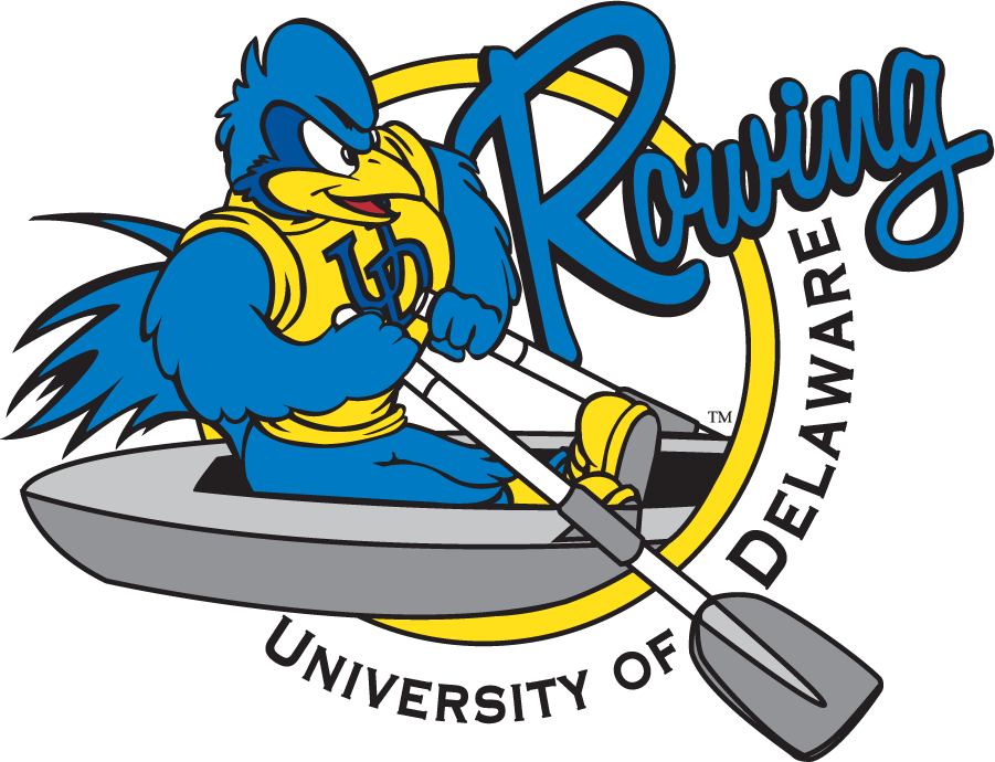 Delaware Blue Hens 1999-2009 Mascot Logo v4 diy DTF decal sticker